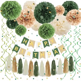 Green Birthday Decorations, Tissue Paper Pom Poms, Happy Birthday Banner, Paper Tassel, Circle Garland, Paper Confetti & Hanging Swirl for Party Decoration