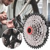 Bolany Mountain Bicycle Card Flywheel 8 Speed 42T Cassette Bike