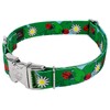 Country Brook Petz - Premium Ladybug Picnic Dog Collar and