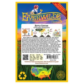 Everwilde Farms - 1000 Bottle Gentian Native Wildflower Seeds - Gold Vault Seed Packet