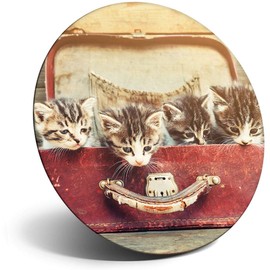 Destination Vinyl ltd Magnet for Refrigerator, Fridge - Cute Case Of Tabby Cats Kittens for Office, Cabinet and Whiteboard, Magnetic Stickers, 16877