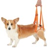Portable Hind Leg Strap Adjustable for Small Medium Dogs (XL)