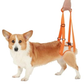 Portable Hind Leg Strap Adjustable for Small Medium Dogs (XL)
