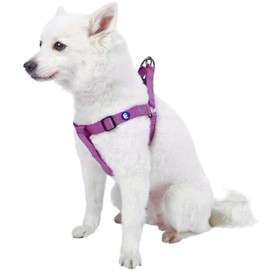 Blueberry Pet Essentials Matching Medium Dog Harness | Adjustable Classic Solid Nylon Color No Pull Harness for Dogs | Easy Walk Dog Harness for Medium Dogs & Step in Dog Harness | Violet Dog Harness
