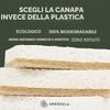Greenzla Spugne da cucina naturali, confezione da 6 – Spugna