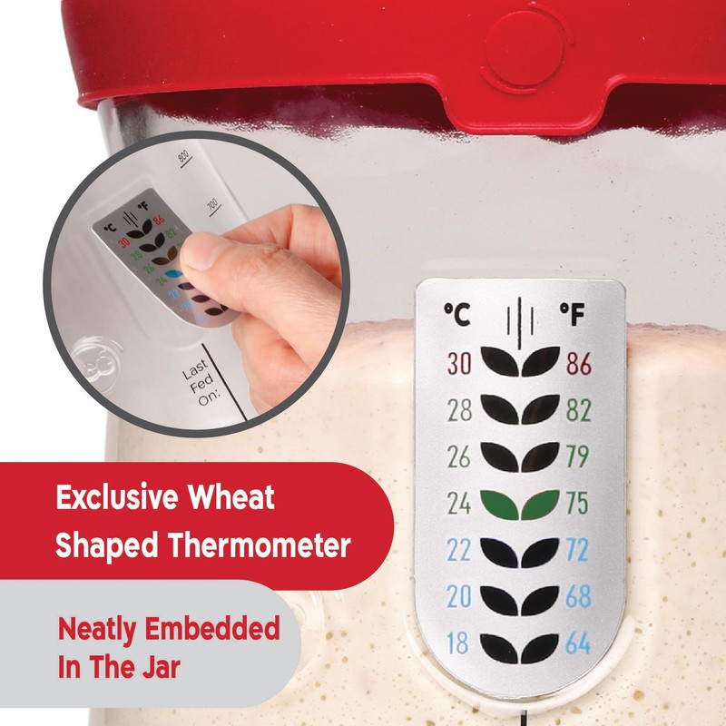 KNEADACE Pro Sourdough Bread Starter Kit - 34 oz Large