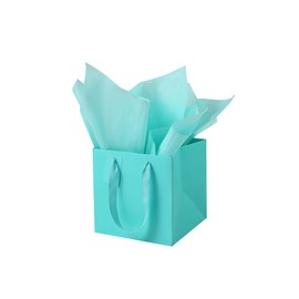 LFCXHTY 10 Pack Teal Blue Square Gift Bags with Tissue Paper Solid Small Size Gift Bags with Handles for Party Favor Bags (8x8x8 In, Teal Blue)