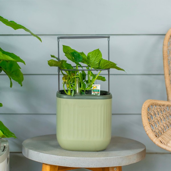 Vego garden Vego Garden Mini Planter Indoor Pots with Trellis