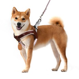 Polyester & Genuine Leather No Pull Dog Harness with Reflective Strips, Lightweight Vest with AirTag Holder for Large Sized Dog, Adjustable Pet Vest with Leash for Large Dogs Running Harness