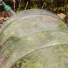 10Ftx 25Ft Mosquito Bug Insect Bird Fine Mesh Net Barrier