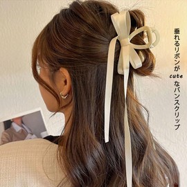 Hair Clip Ribbon Accessories Hair Domeclip Hair Claw Bundles Hair Claw Half Up Silk Ballet Style Elegant Cute Women Women Girls Black (White)