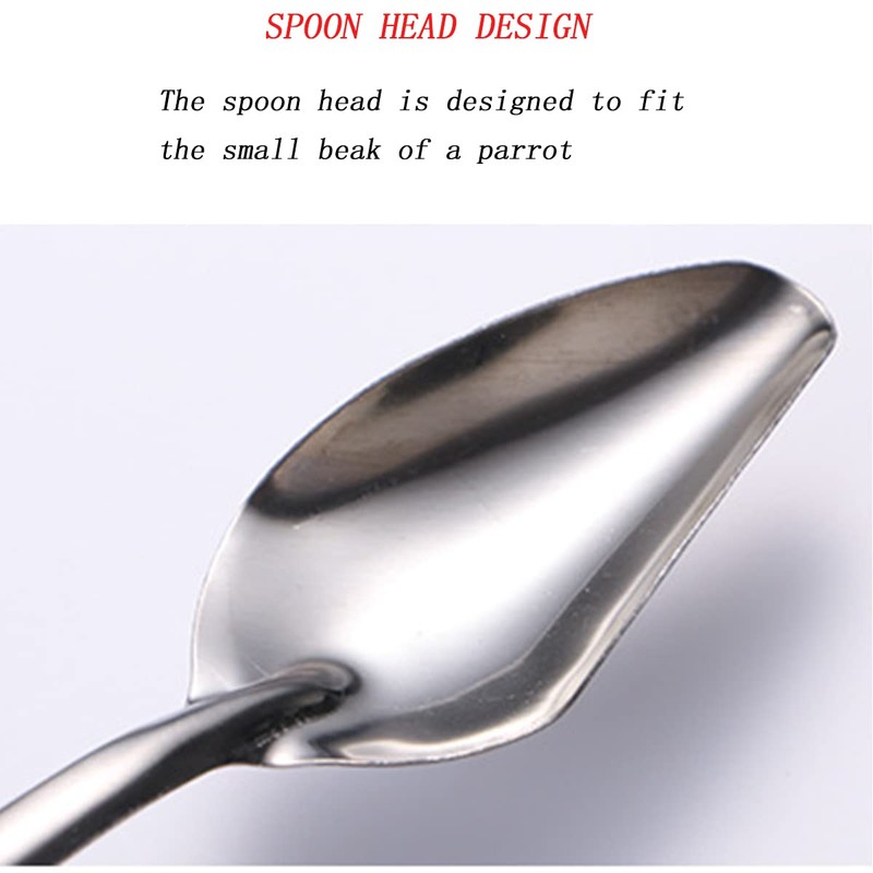YIUIRUOI 6 Stainless Steel Pet Feeding Spoons, Parrot Feeding Tool,