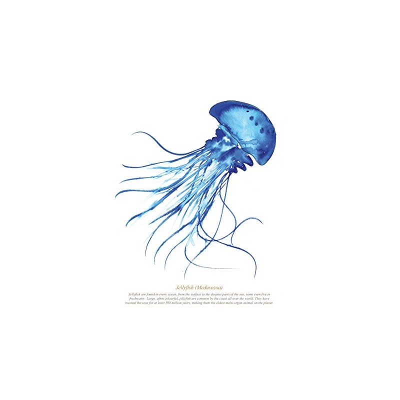SeaKisses Jellyfish A4 SeaLife Print Unframed
