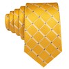 Barry.Wang Yellow Tie with Tie Clip for Men Plaid Silk