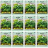 Set of 12 Squash- Zucchini Vegetable Seed Packs - Create