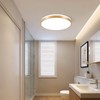 Horevo 30 cm Bluetooth Ceiling Light with Remote Control, 24