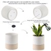 Nihow Self Watering Plant Pot: 6 Inch Ceramic Planter with