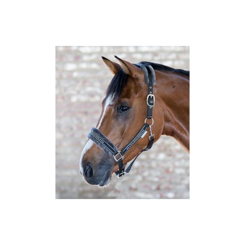 Waldhausen Elegant Halter, black