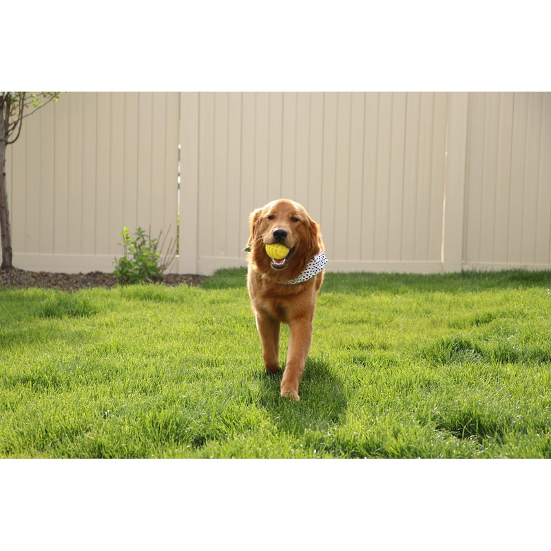 Flingerz Ultra Durable Whistling Ball Launcher Dog Toy (1 Count)