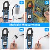Digital Inrush Clamp Meter Multimeter, MESTEK T-RMS 6000 Counts 600A