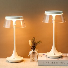 JHY DESIGN Aluminum Bedside Table Lamp 10.5" H 3-Color Light Dimmable Nightstand Lamp with Simple Clear Lampshade Touch Control Lamp for Bedroom Living Room Indoors Outdoors(Set of 2,Type-C Charging)