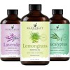 Handcraft Blends Handcraft Blends Eucalyptus, Lavender, and Lemongrass Essential Oil