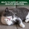 Vet’s Best Cat Hairball Relief Digestive Aid, Vet Formulated Hairball