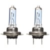Walser Xenon H7 Halogen Lamp 100 W 12 V