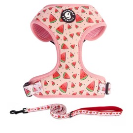 Dog Harness and Leash Set, Adjustable Dog Harness, Dog Leash, No Pull No Choke Puppy Harnesses for Walking Training for Small, Medium, Large Pet