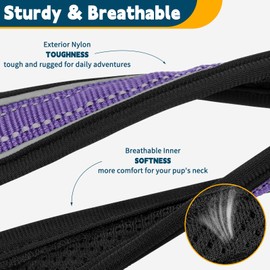 No Pull Martingale Collar for Medium Large Dogs Precision Fit Escape Proof