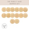 Pequeño Baby Monthly Milestone Wooden Circles, 14 Newborn Photography Props