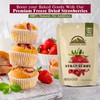 Himalayan Chef Freeze-Dried Strawberry 10g/each (Pack of 10) | Organic