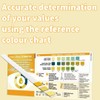 One Step: 10 x Kidney Function Test Kits, Creatinine, Protein