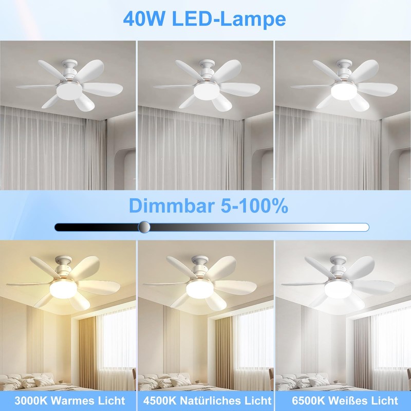 DBFAIRY Ceiling Fan with Lighting, Ceiling Fan with Dimmable Light