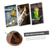 Kisangel Coconut Shell Nest Coconuts Parrot House Bird Nests for