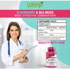 Wixar Naturals Elderberry and Sea Moss Supreme Capsules - Natural