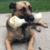 Pet Factory Pet Factory American Beefhide 12" Knotted Bone Dog