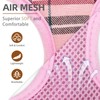 PUPTECK Soft Mesh Dog Harness and Leash Set Pet Puppy
