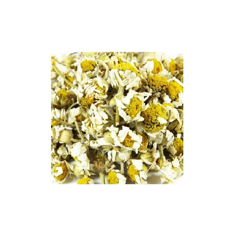 German Chamomile/Matricaria recutita/Herbal Tea/Hardy Annual/Approx 5000 Seeds