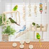 Hamiledyi 13Pcs Parrot Swing Chew Toys Bird Perches Platform with