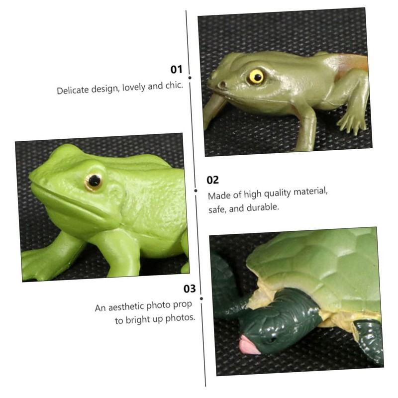 CIYODO 2 Sets Creative Simulation Frog Turtle Growth Model Animal