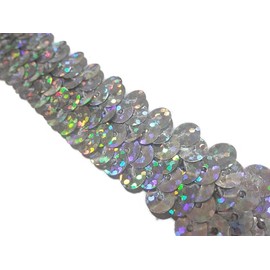 No.1910_Handicraft Sequin Blade with Glitter Silver (Silver) Width 2cm x 2m Roll Sequins Sequin