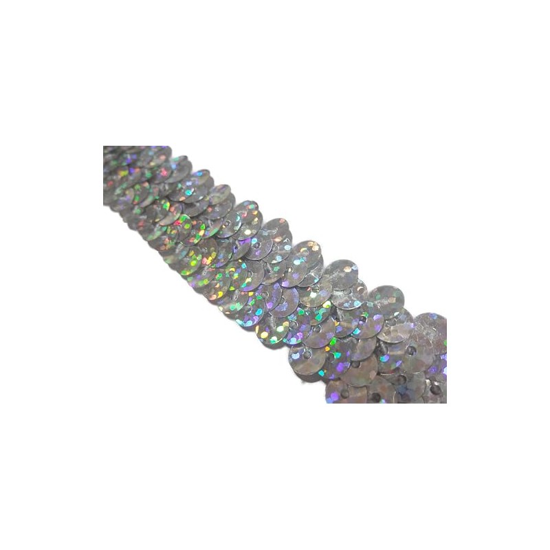 No.1910_Handicraft Sequin Blade with Glitter Silver (Silver) Width 2cm x