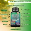 HealthyFinds HealthyFinds Sea Moss Black Seed Oil Ashwagandha Ginger Capsules