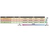 "File" Tsubosan Bright 900 Extreme 5-Piece Flat Medium / Oil
