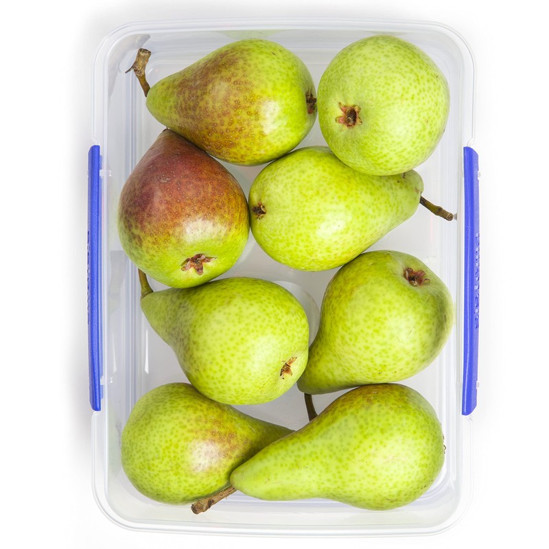 Sistema KLIP IT Food Storage Container | 2 L |