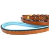 Soft Touch Collars Leather Braided Dog Leash, Tan with Teal