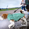 Mile High Life | Dog Raincoat | Adjustable Water Proof