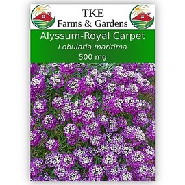 TKE Farms & Gardens - Alyssum, Royal Carpet, Seeds for Planting, 500 Mg, 1000 Heirloom Seeds, Non-GMO, Packet Includes Instructions for Growing, Lobularia maritima, Qty 1