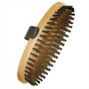Wood Grain Brush for Highlighting Wood Grain Also Suitable for Horses Brushing